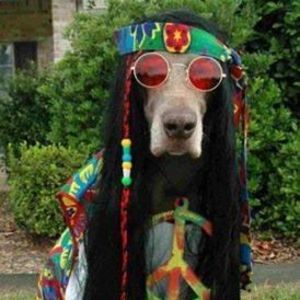 Meet your Posher, Candace